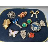 Box Costume Brooches Etc