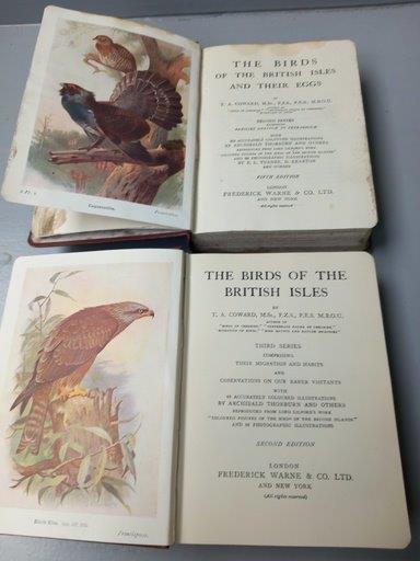 3 Volumes The Birds Of The British Isles (Series One, Two & Three) With Illustrations, 1 Volume - Image 3 of 5