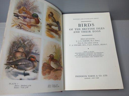 3 Volumes The Birds Of The British Isles (Series One, Two & Three) With Illustrations, 1 Volume - Image 5 of 5