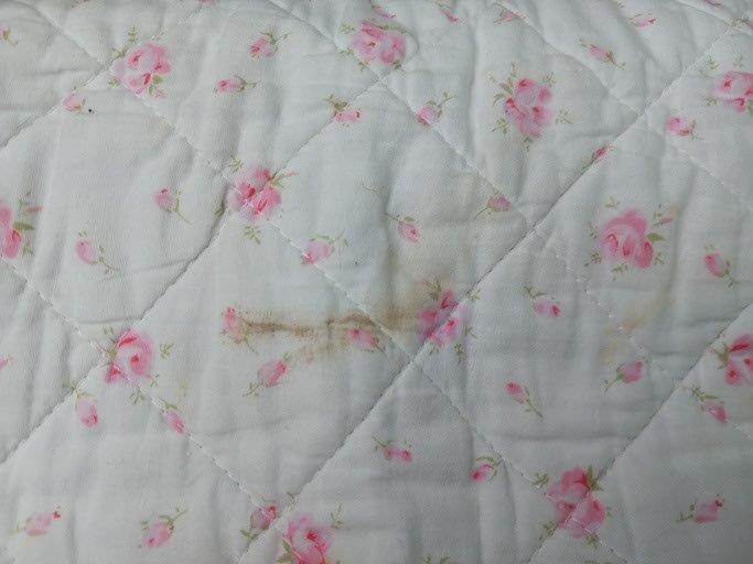 Pink Patterned Floral Quilt & 2 Cushions (Slightly Marked) & 2 Cushions - Image 2 of 6