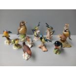 10 Royal Adderley, Wedgwood, Beswick Assorted Bird Figures (A/F)