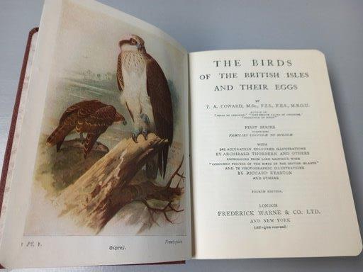 3 Volumes The Birds Of The British Isles (Series One, Two & Three) With Illustrations, 1 Volume - Image 4 of 5