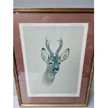 Print - Roebuck By Brian Rawling 1979 Limited Edition 22/600