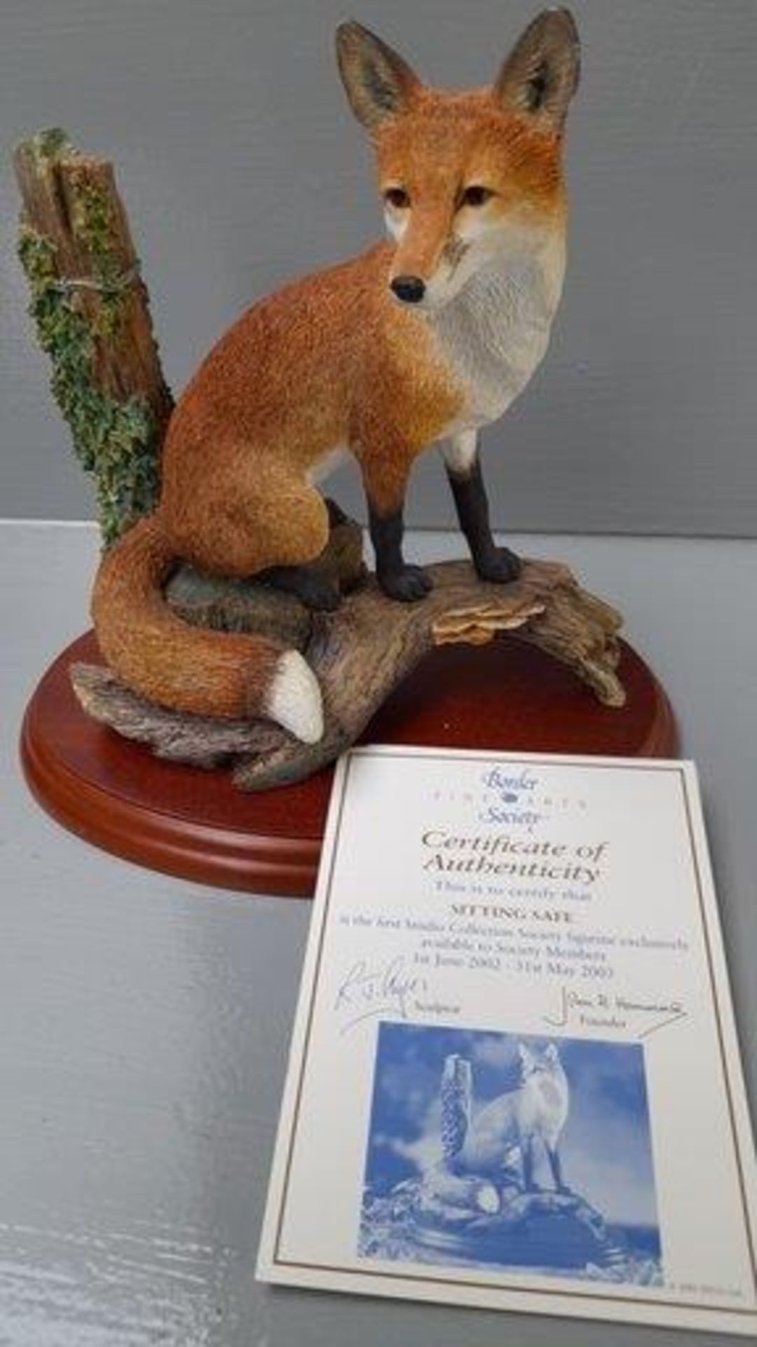 Border Fine Arts - 'Sitting Safe' A2027 On Wood Base With Certificate