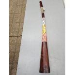 Didgeridoo & Bag