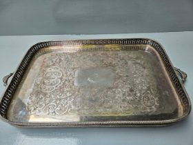 Large Plated Gallery Tray