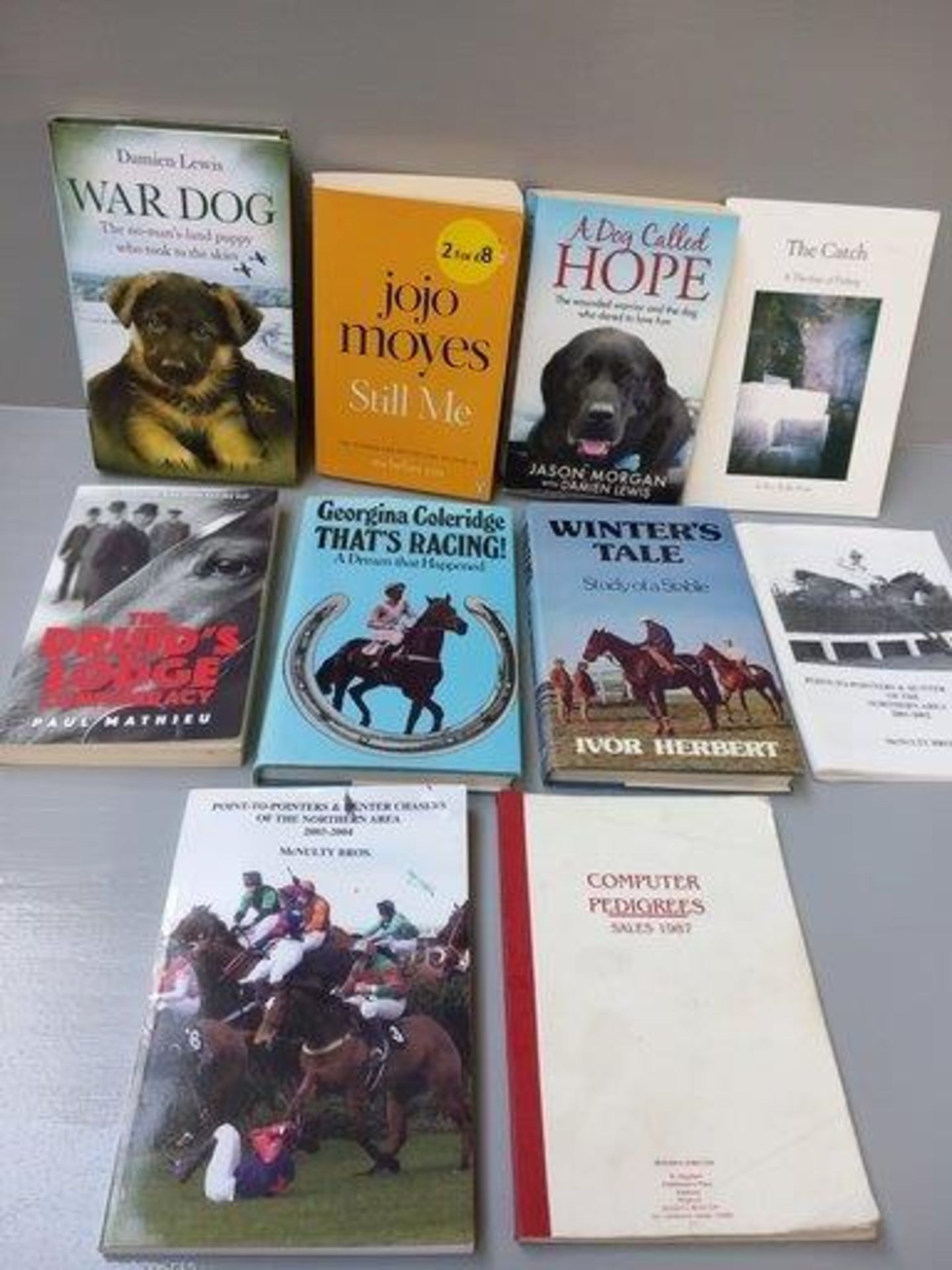 32 Volumes - Thoroughbred Data Systems Foal Sales & Yearling Sales 1984, Dogs In Art, Horses In Art, - Image 2 of 4