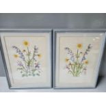 2 Prints - Still Life & 3 Watercolours By Sara Sutton & Small Portrait Sketch