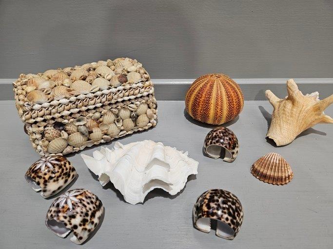 Shell Jewellery Box, Leaded Shell Design Wall Mirror & Assorted Shells Etc