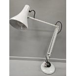 White Angle Poise Lamp