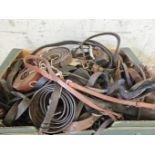 Box Including Horse Tack - Reins, Bridles, Girths Etc