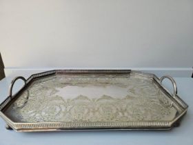 Plated 2 Handled Tray