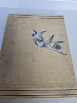 1 Volume - Wonders Of Animal Life By J A Hammerton - First Volume
(Volume 1)