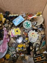 Box Of Assorted Badges