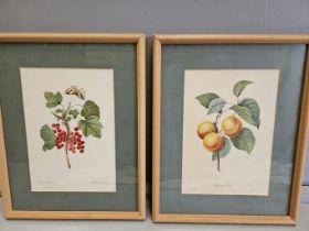 Still Life Prints By P J Redoute In Pine Frames