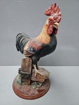 Border Fine Arts Farmyard Friends 'Cockerel' A1672 On Wood Base