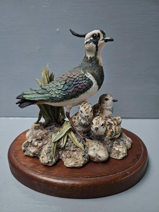 Border Fine Arts 'Lapwing' RB38 By R Ayres On Wood Base