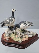 Border Fine Arts 'Barnacle Geese' PS05 By R Roberts Limited Edition 57/1850 On Wood Base