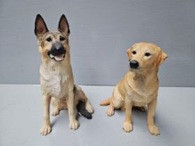 Border Fine Arts 'Labrador - Yellow' DG32B & 'New German Shepherd' B0496