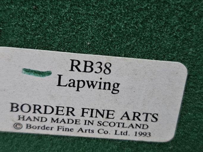 Border Fine Arts 'Lapwing' RB38 By R Ayres On Wood Base - Image 3 of 3