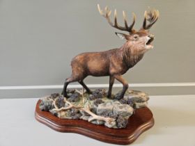 Border Fine Arts ' Highland Majesty' B0220 By R Roberts On Wood Base