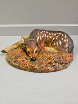 Border Fine Arts 'Roe Deer Fawn' L09 Limited Edition 48/500 By V Hayton With Certificate