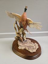 Border Fine Arts 'Rising Pheasant' L46 Limited Edition 459/950 By F Divita With Certificate On Wood