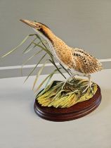 Border Fine Arts 'Bittern' B1147 Limited Edition 50/250 Signed By R Ayres On Wood Base With Certifi