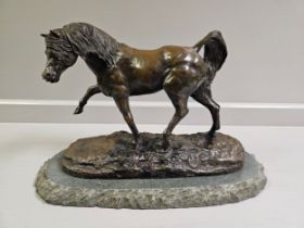 Border Fine Arts Bronze 'Arab Stallion' L05B Limited Edition 95/500 On Slate Base By V Hayton