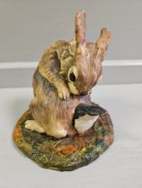 Border Fine Arts 'Rabbit Scratching' 001A Limited Edition 81/500? By V Hayton On Wood Base