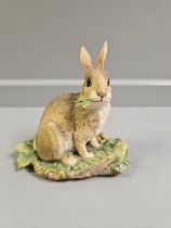 Border Fine Arts 'Rabbit' By J Boyt