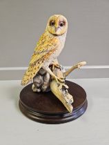 Border Fine Arts 'Barn Owl' L67 Limited Edition 217/950 By F Divita With Certificate On Wood Base