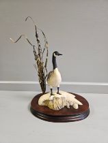 Border Fine Arts 'Canada Goose' Limited Edition 393/950A By F Divita With Certificate On Wood Base