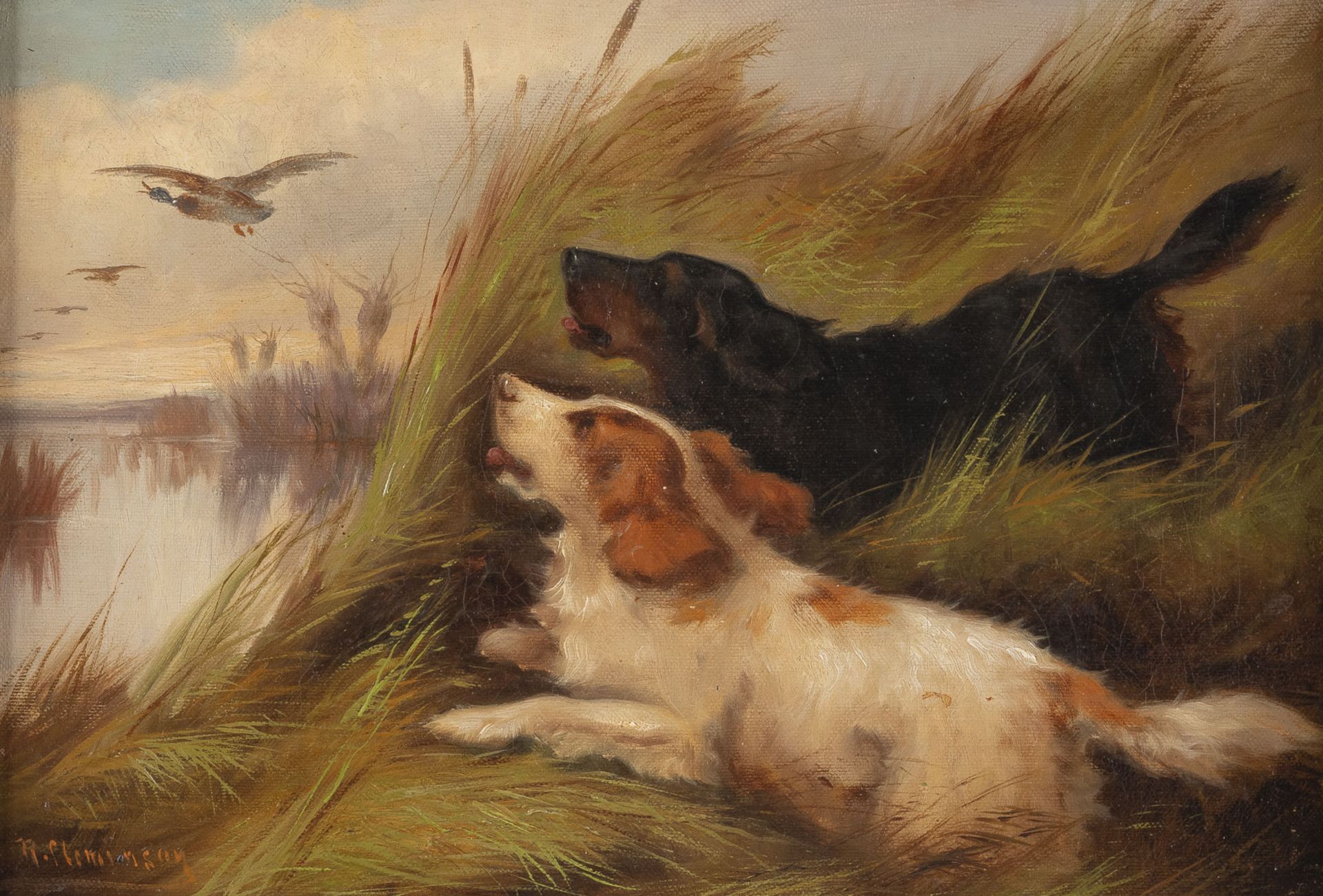 ZWEI SPANIELS BEI DER ENTENJAGD