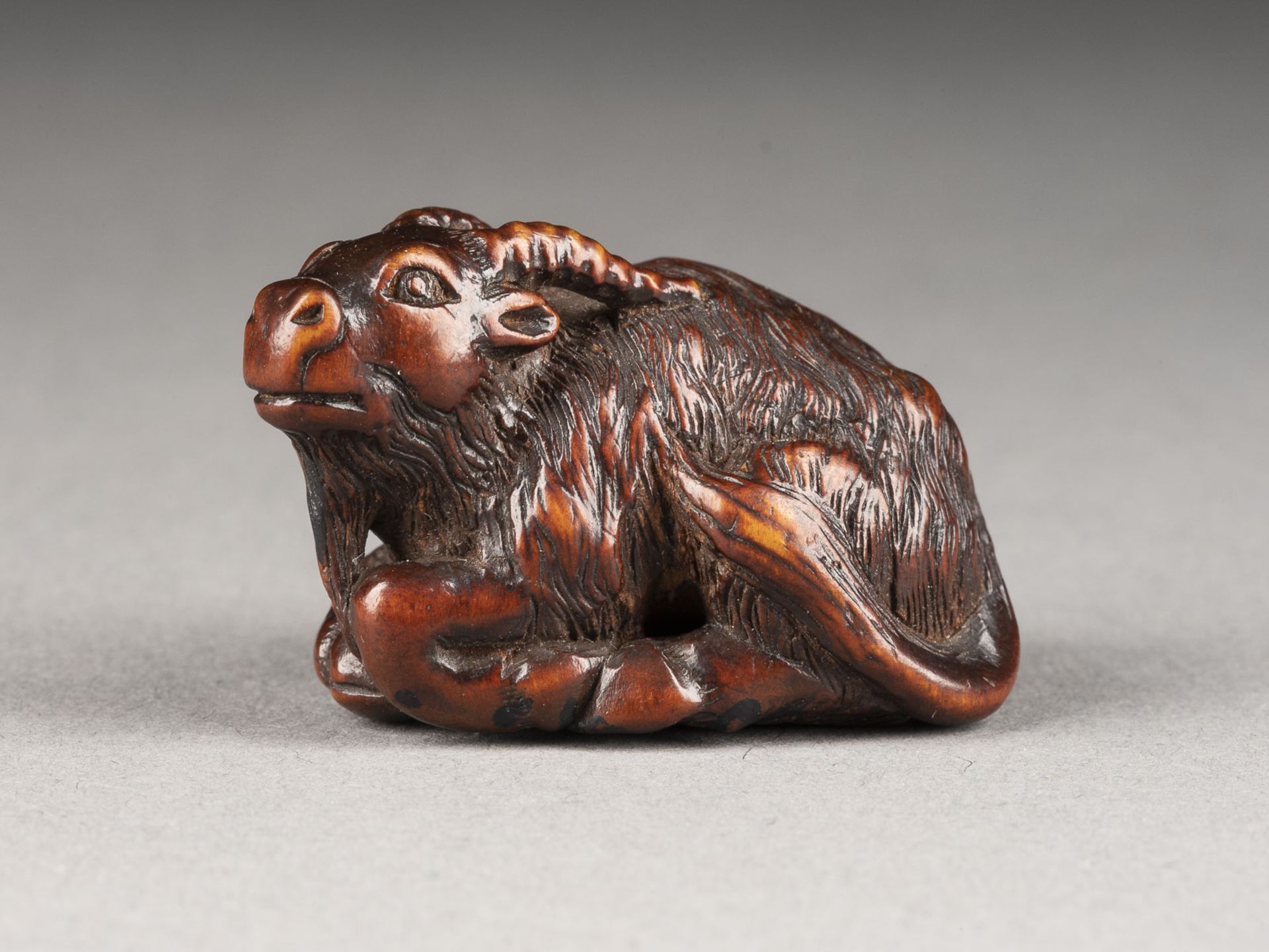 EIN FEINES NETSUKE EINER LIEGENDEN ZIEGE AUS BUCHSBAUM