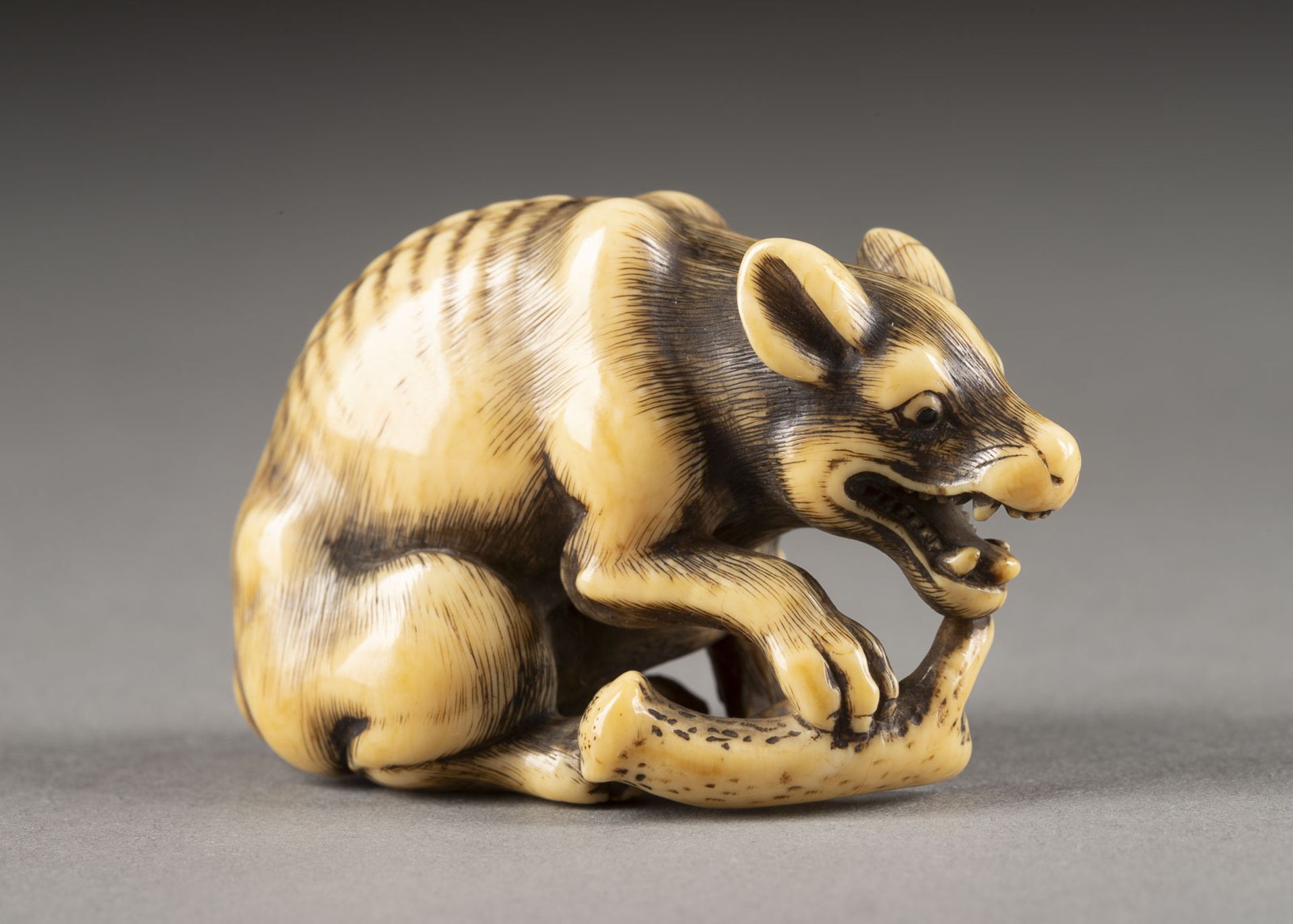 EIN WICHTIGES GESCHNITZTES NETSUKE EINES WILDEN HUNDES AUS ELFENBEIN