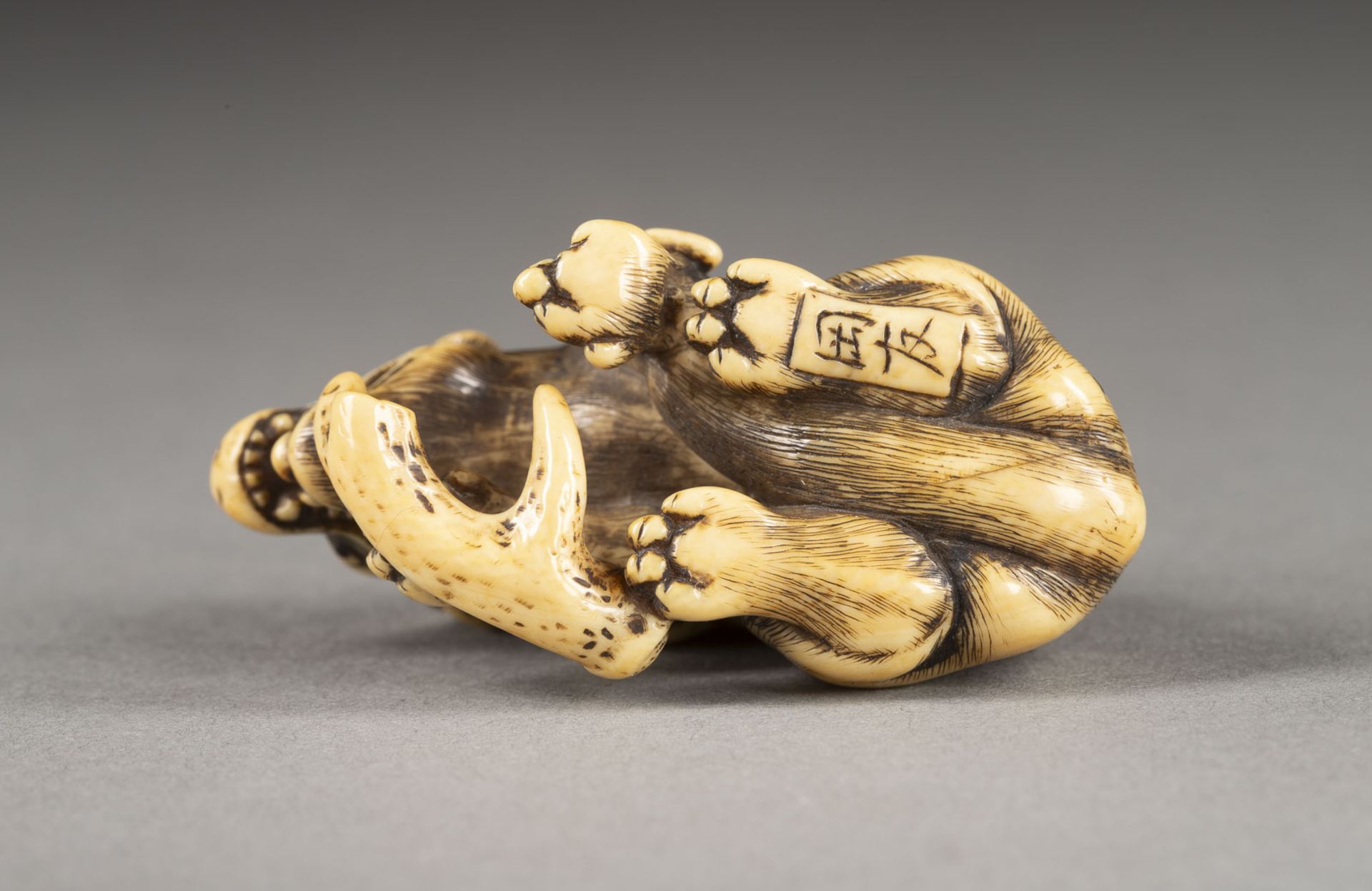 EIN WICHTIGES GESCHNITZTES NETSUKE EINES WILDEN HUNDES AUS ELFENBEIN - Image 5 of 6