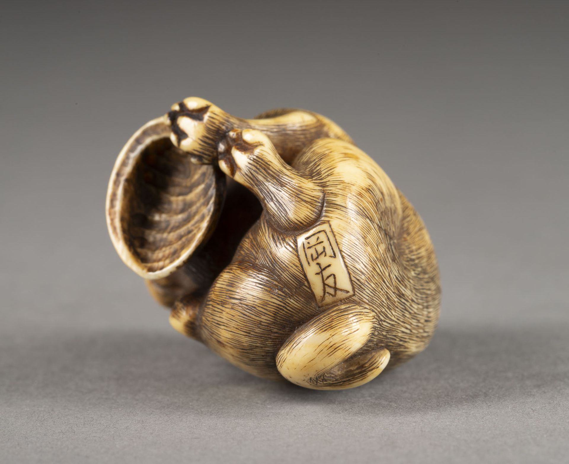 EIN FEINES GESCHNITZTES NETSUKE EINES HÜNDCHENS AUS ELFENBEIN - Image 7 of 8