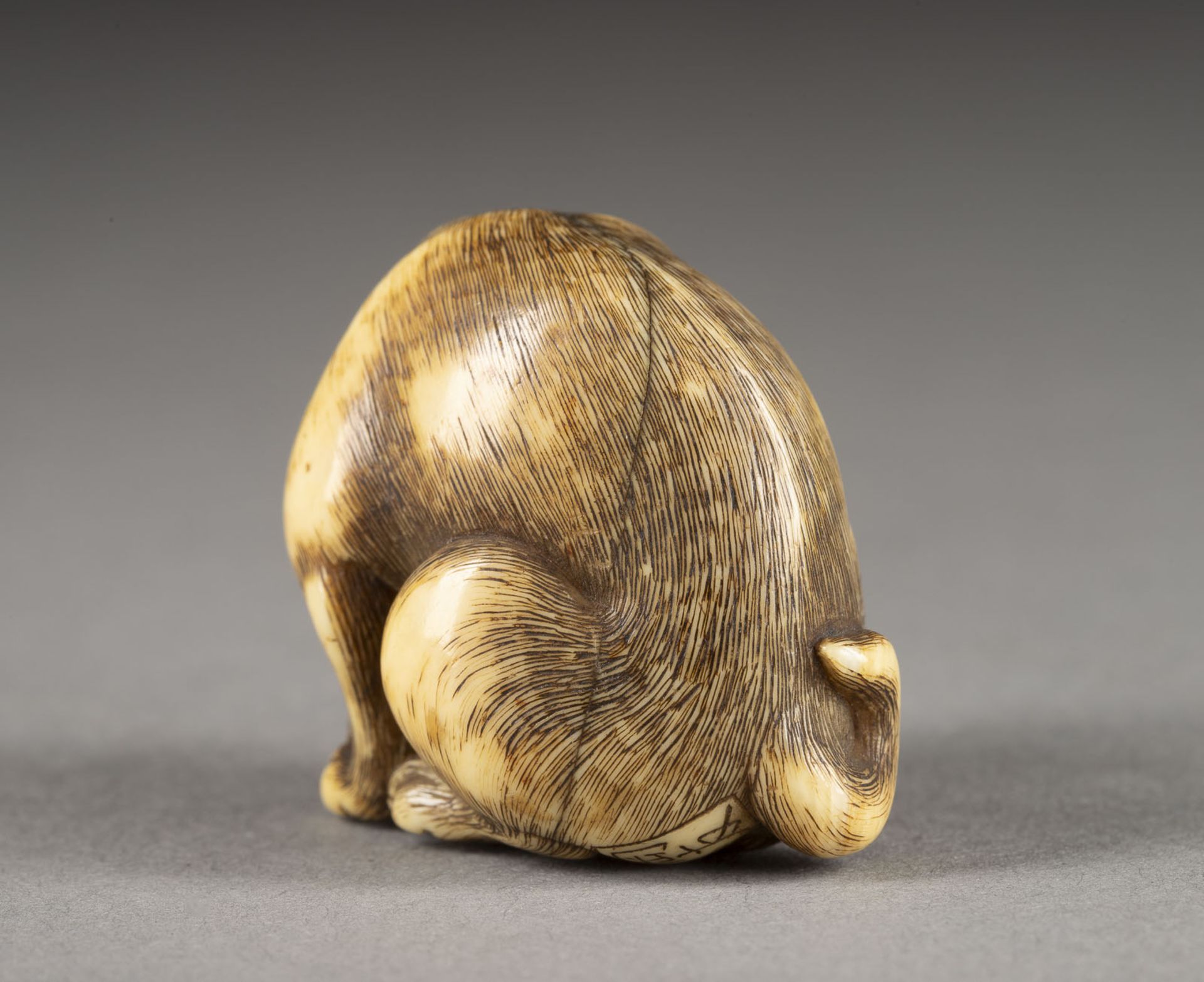 EIN FEINES GESCHNITZTES NETSUKE EINES HÜNDCHENS AUS ELFENBEIN - Image 6 of 8