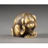 EIN FEINES GESCHNITZTES NETSUKE EINES HÜNDCHENS AUS ELFENBEIN