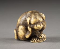 EIN FEINES GESCHNITZTES NETSUKE EINES HÜNDCHENS AUS ELFENBEIN