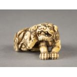 EIN SEHR FEINES UND WICHTIGES GESCHNITZTES NETSUKE EINES SHISHI AUS ELFENBEIN