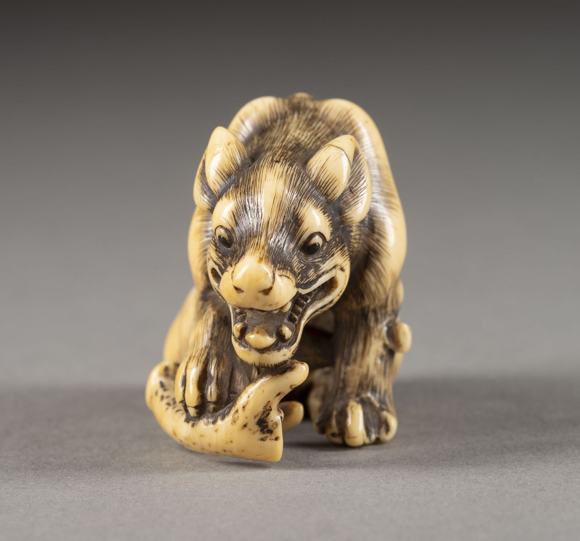 EIN WICHTIGES GESCHNITZTES NETSUKE EINES WILDEN HUNDES AUS ELFENBEIN - Image 3 of 6