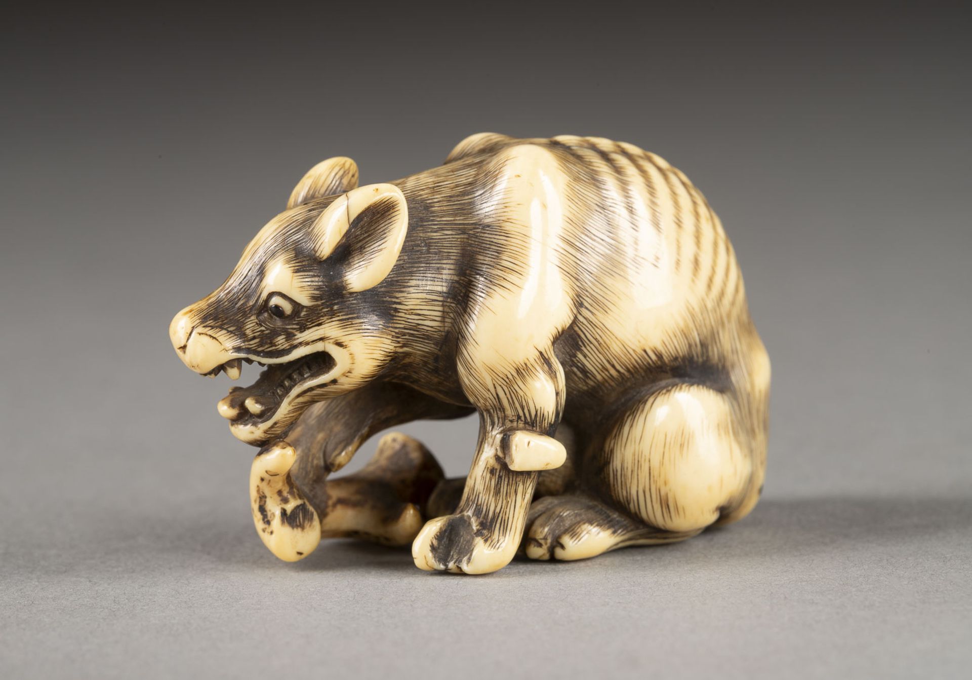 EIN WICHTIGES GESCHNITZTES NETSUKE EINES WILDEN HUNDES AUS ELFENBEIN - Image 4 of 6