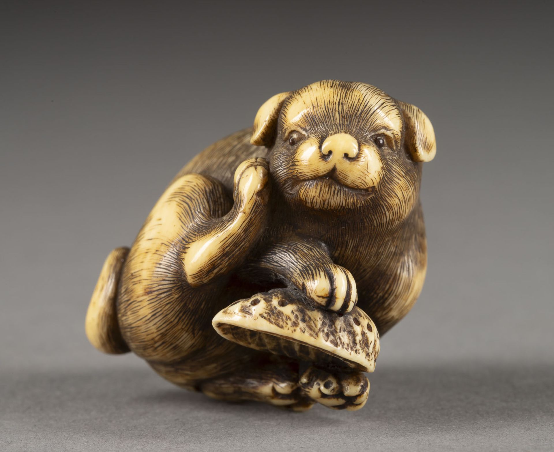 EIN FEINES GESCHNITZTES NETSUKE EINES HÜNDCHENS AUS ELFENBEIN - Image 5 of 8