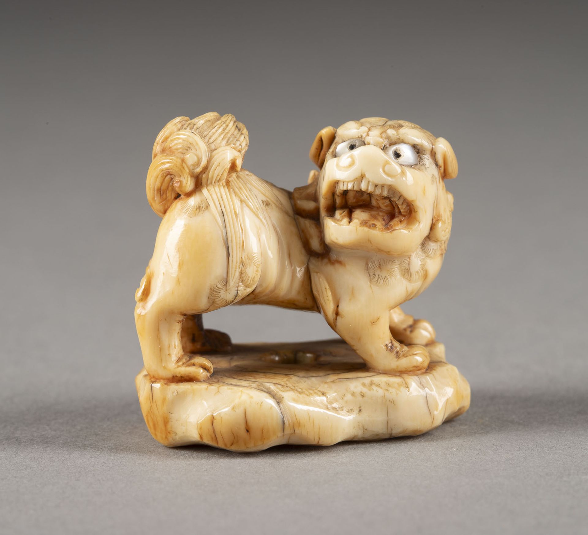 EIN GESCHNITZTES NETSUKE EINES SHISHI AUS ELFENBEIN - Image 2 of 5