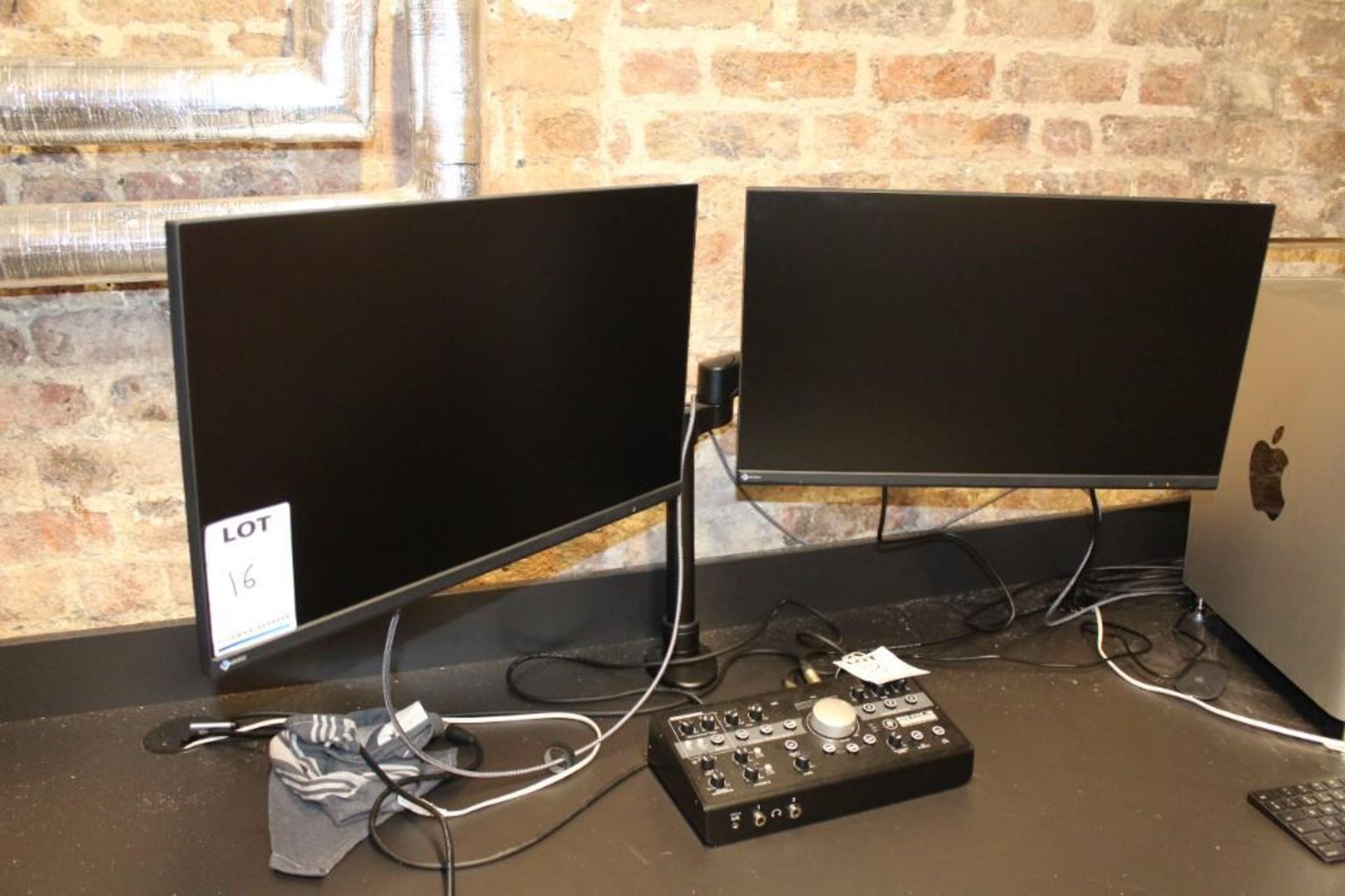 2x Eizo Flexscan monitors