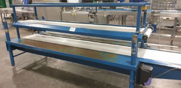 1: Unknown Make Stainless Steel Double Conveyor with Tray