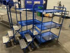 2 x Picking Trolleys 3 Rung Ladder (170/60/140)