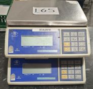 1: Excell Weighing Scales